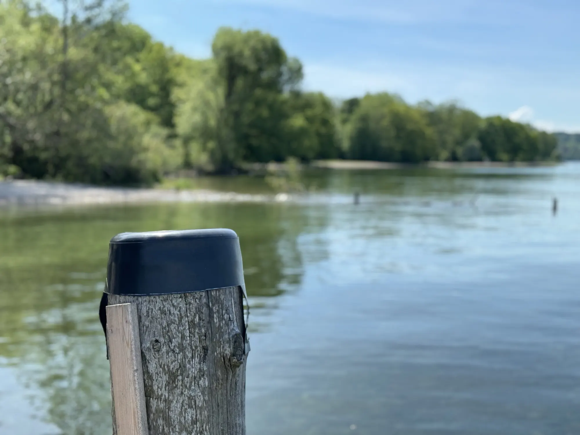 DLRG gibt knapp 100.000 Schwimmabzeichen aus