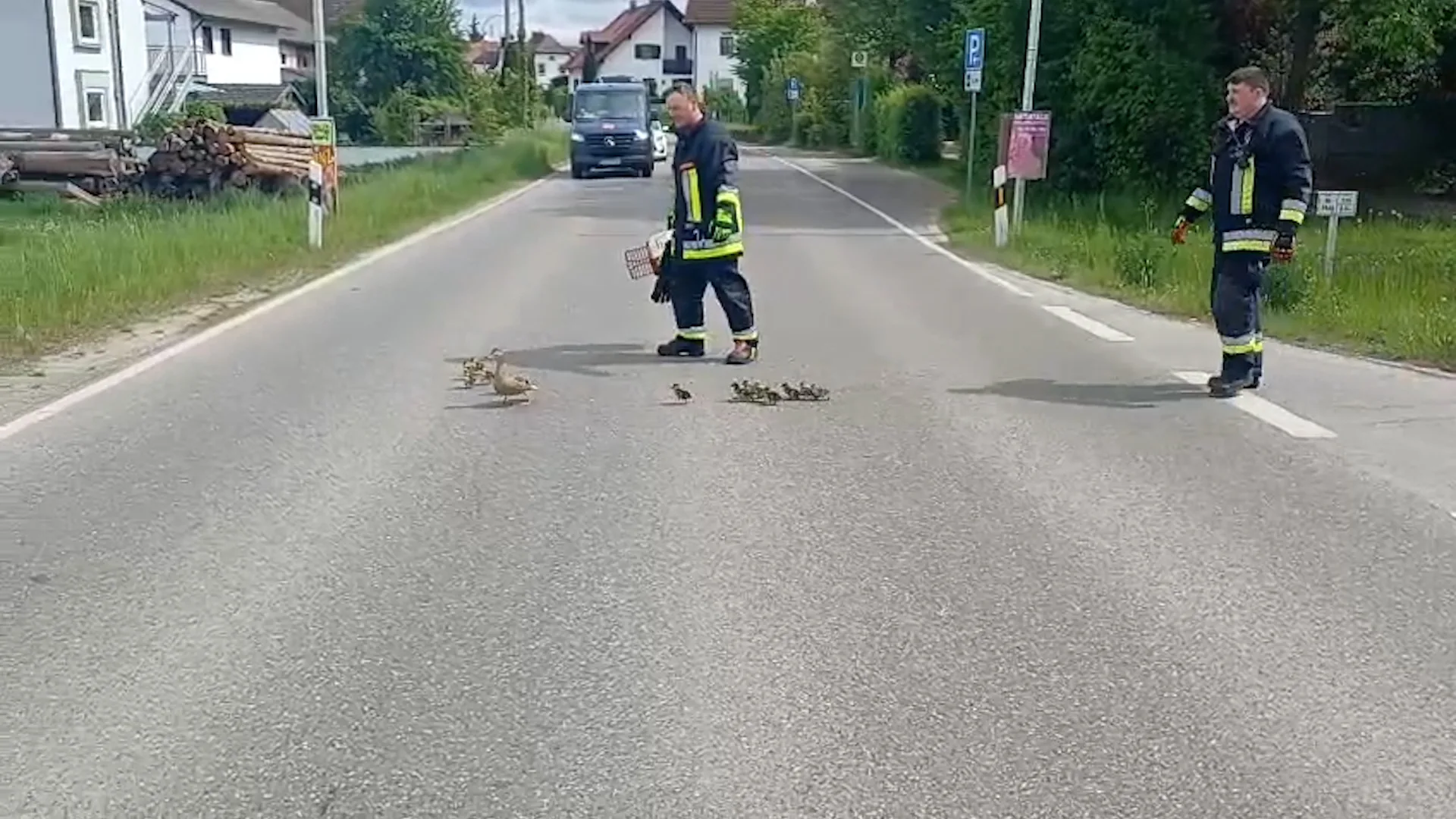 Herzerwärmender Einsatz: Feuerwehr rettet Entenmama und ihre Küken