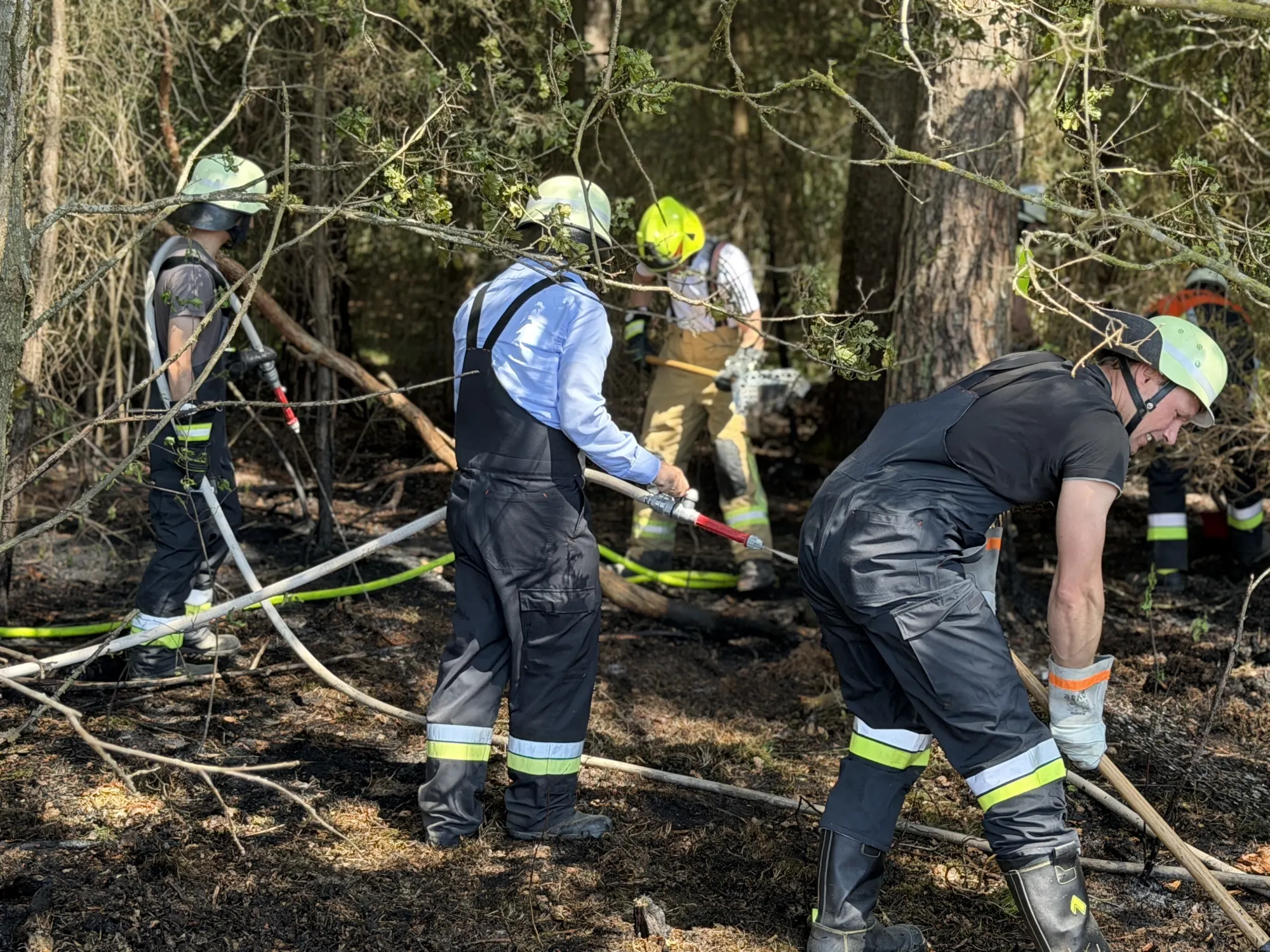 200 Quadratmeter Wald abgebrannt