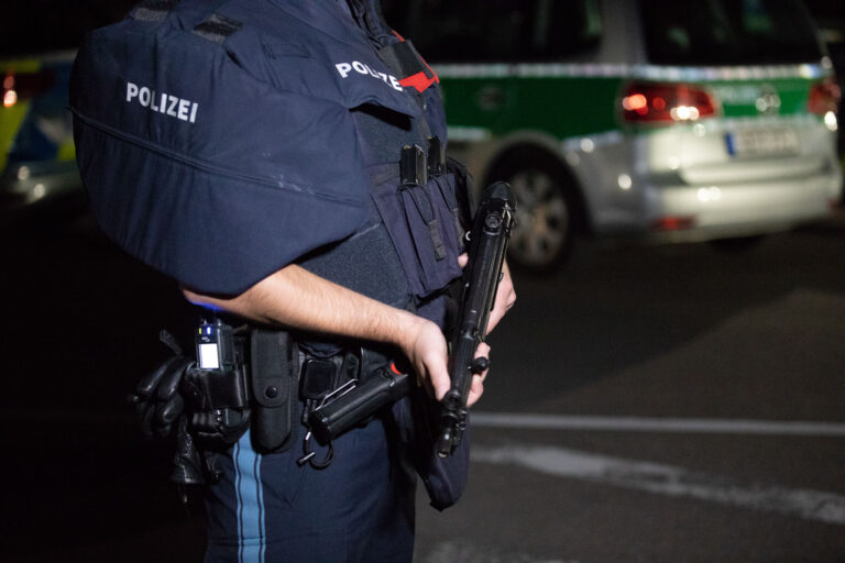 DONAUWÖRTH - Sexueller Übergriff auf 13-jähriges Mädchen. Mann lockt Mädchen mit Hund und fasst sie an die Brust. Polizei sucht Spaziergängerin und Zeugen. 👧🚨