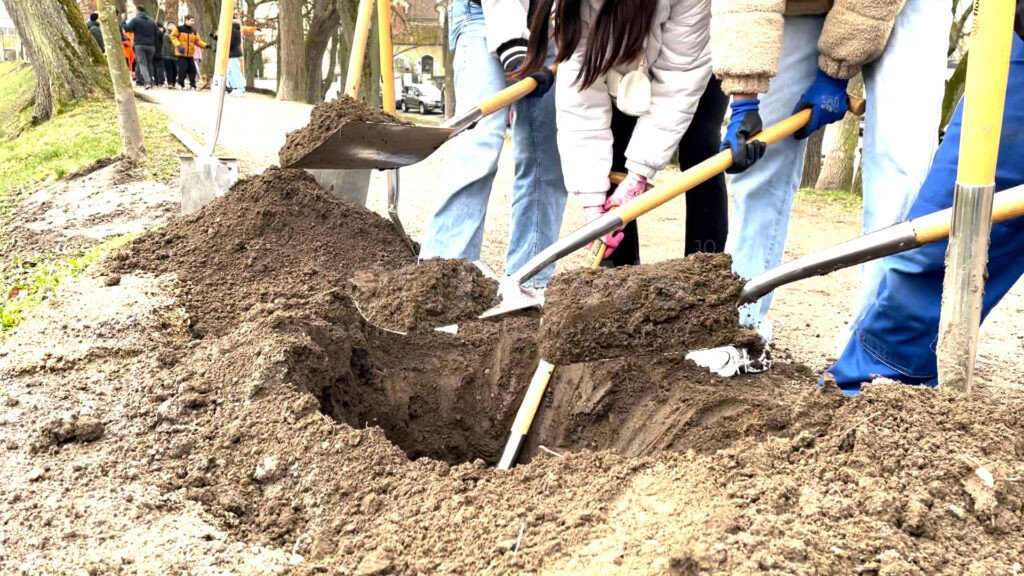 SCHROBENHAUSEN – Mittwoch (26.03.2025): Schüler der Michael-Sommer-Schule pflanzen 13 Bäume am Stadtwall – 200 Jahre nach der historischen Erstbepflanzung. 🌳