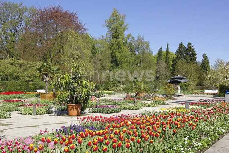 AUGSBURG – Im Botanischen Garten blüht der Frühling auf! Entdecken Sie spannende Ausstellungen, Garten-Seminare und Naturführungen.