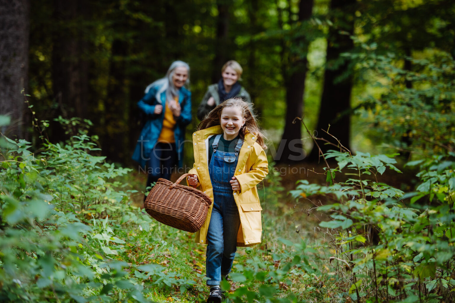 🌿 DEUTSCHLAND – Wildkräuter wie Löwenzahn, Giersch & Brennnessel liefern wertvolle Vitamine. Jetzt beginnt die beste Erntezeit. 🌼
