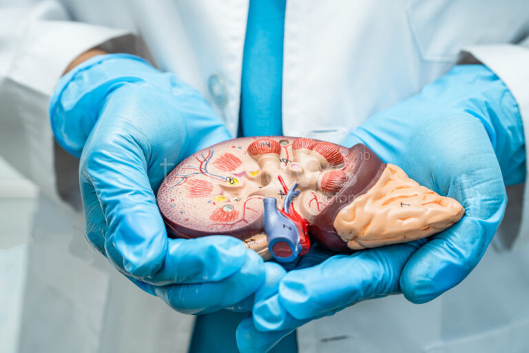 FRANKFURT – Zum Weltnierentag (13.03.2025) warten Tausende auf eine Nierentransplantation.💙 Warum Organspende so wichtig ist und wie Dankesbriefe Leben berühren.