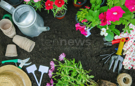 🌱 🌷 Gartenarbeiten im Mai richtig anpacken! Entdecken Sie die fünf wichtigsten Aufgaben, die jetzt erledigt sein müssen – vom Rasen mähen bis zum richtigen Zeitpunkt für die Gemüsepflanzung.