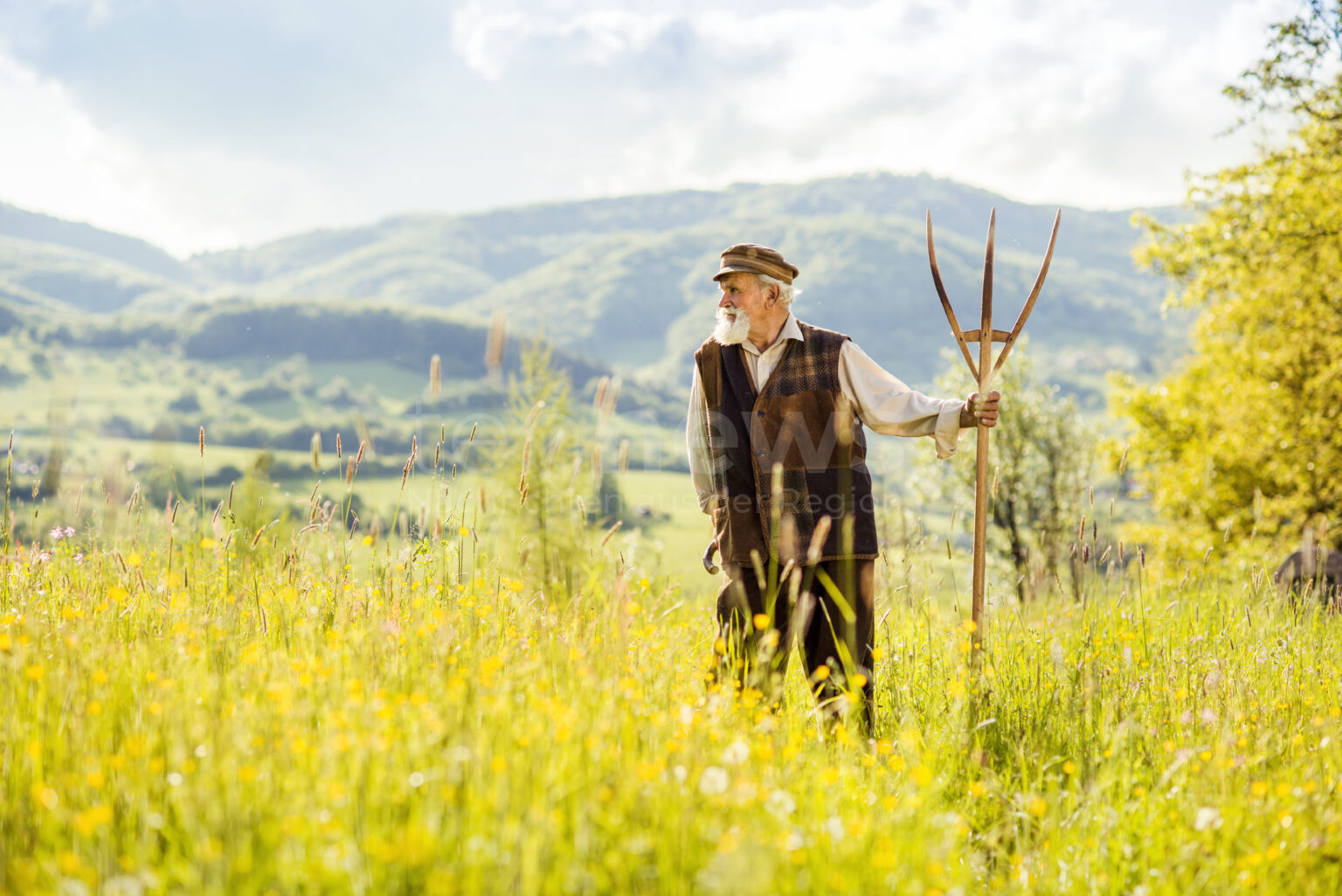 🌦️ DEUTSCHLAND – Bauernregeln rund um St. Urban (25.05.2025) sollen Wettertrends verraten. Was dahintersteckt – und wann sie erstaunlich genau liegen. 🌾📜