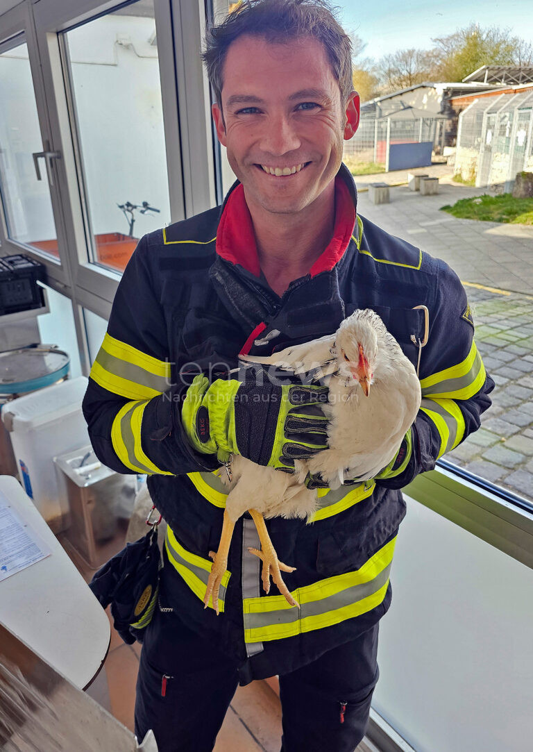 MÜNCHEN – Ein Huhn bleibt am Montag (07.04.2025)in engem Spalt stecken 🐔 Polizei und Feuerwehr retten das Tier – jetzt lebt es im Tierheim.