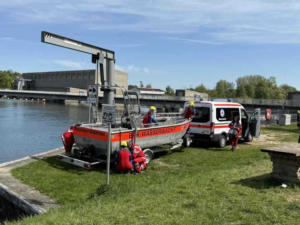 NEUBURG AN DER DONAU – Badeausflug oder doch Notlage? Eine Kuh verirrt sich am Sonntag (27.04.2025) in die Donau. Feuerwehr und Wasserwacht retten das Tier 🐄🚒