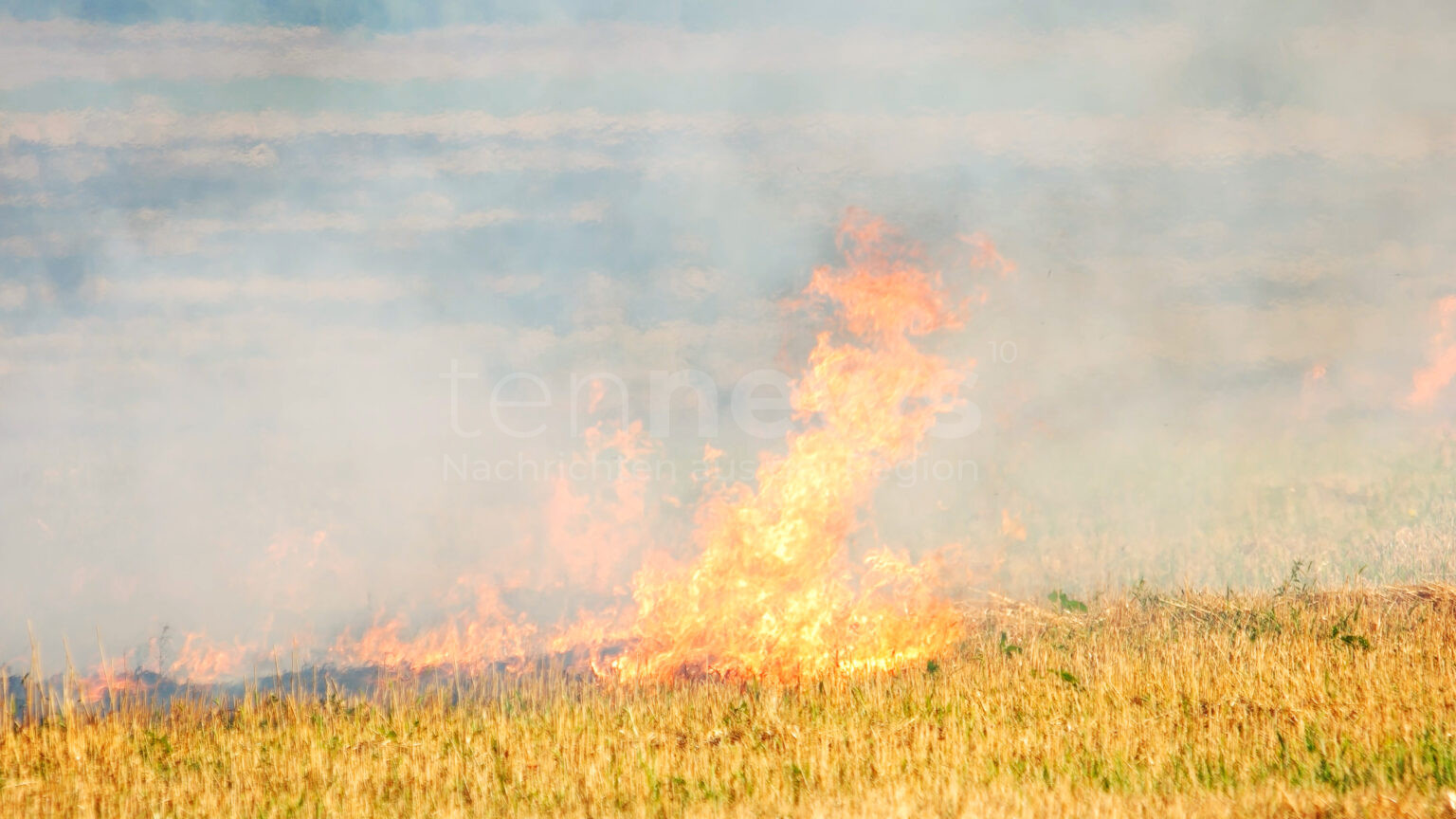 EHEKIRCHEN – 🔥 eine Grünfläche geriet am Sonntag (22.06.2025) bei Ehekirchen in Brand – fünf Feuerwehren verhinderten eine Ausbreitung 🚒