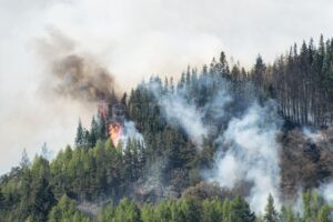 OREGON (USA) - 🔥 Über 95.000 Hektar in Flammen! Cram Fire wird größter Waldbrand der USA 2025 - Gouverneurin ruft Notstand aus! 🚁