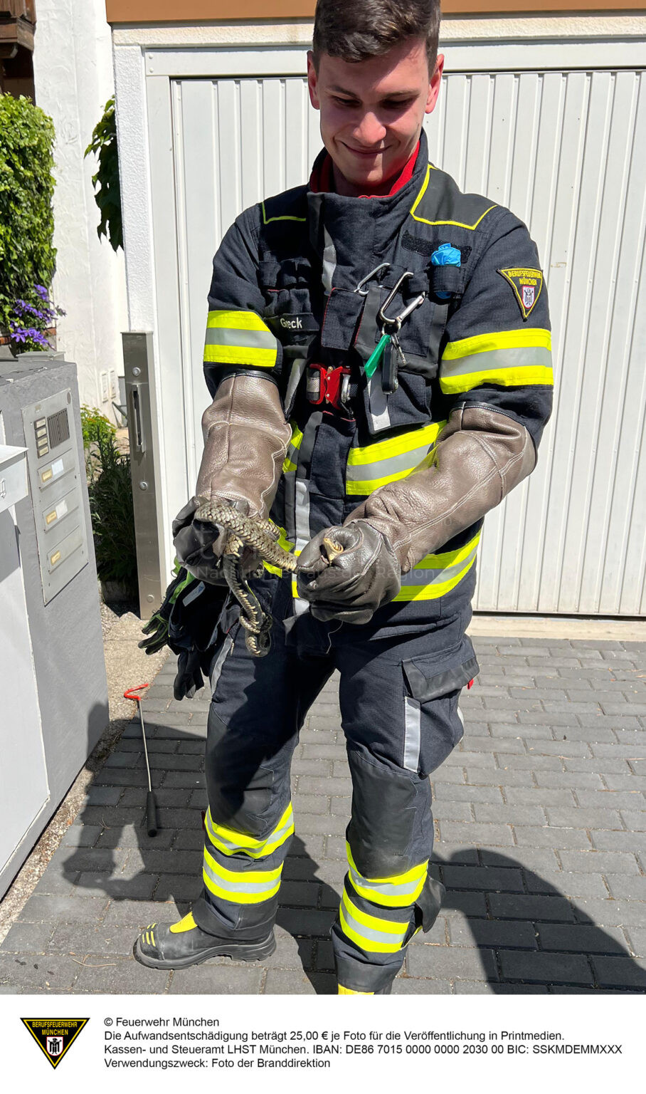 MÜNCHEN - 🐍 Schlangenfund am Freitag (16.05.2025) in der Lerchenau! Feuerwehr fing 70 Zentimeter langes Reptil in Wohngarten ein und brachte es zu einem nahegelegenen See! 🚒