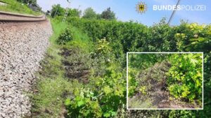 TAUFKIRCHEN - 🚬 16-Jähriger wirft am Dienstag (14.05.2025) glimmende Zigarette neben Bahngleise! Böschung gerät in Brand, Bahnstrecke gesperrt - Bundespolizei ermittelt wegen fahrlässiger Brandstiftung. 🚒