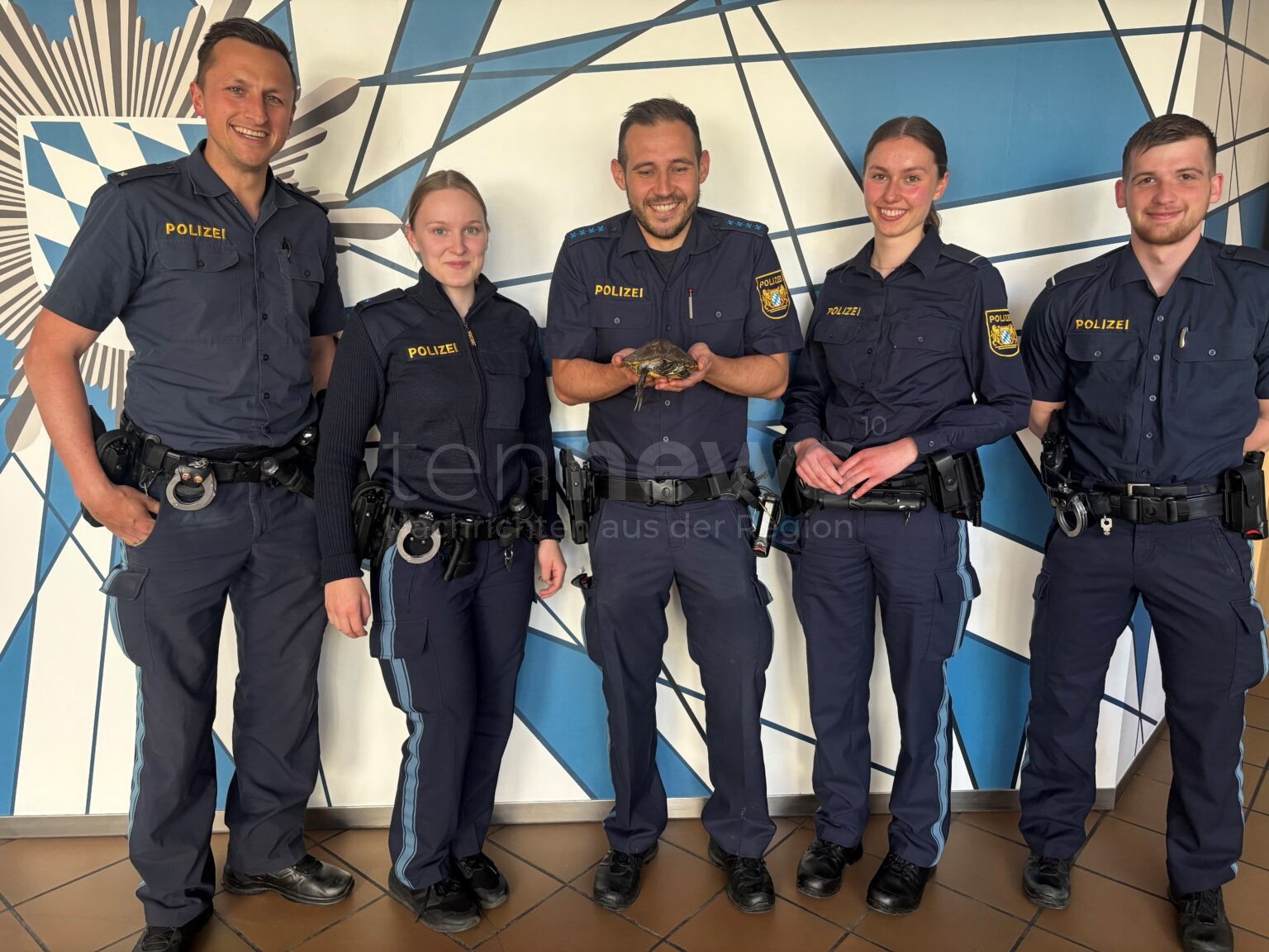 WEIDEN IN DER OBERPFALZ - 🐢 Ausgebüxte Schildkröte am Samstagvormittag (11.05.2025) an der Schustermooslohe gefunden! Spaziergängerin bringt Tier zur Polizei - nun im Veterinäramt, Besitzer gesucht! 🔍