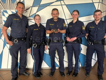 WEIDEN IN DER OBERPFALZ - 🐢 Ausgebüxte Schildkröte am Samstagvormittag (11.05.2025) an der Schustermooslohe gefunden! Spaziergängerin bringt Tier zur Polizei - nun im Veterinäramt, Besitzer gesucht! 🔍