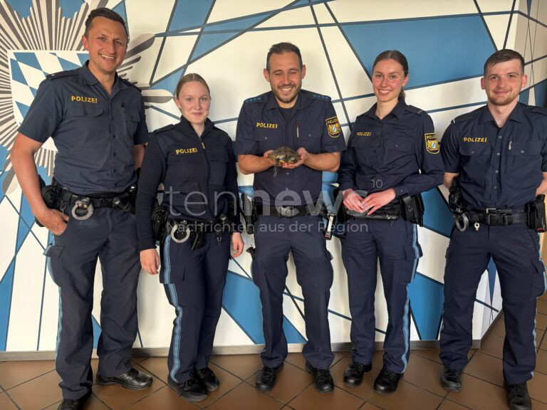 WEIDEN IN DER OBERPFALZ - 🐢 Ausgebüxte Schildkröte am Samstagvormittag (11.05.2025) an der Schustermooslohe gefunden! Spaziergängerin bringt Tier zur Polizei - nun im Veterinäramt, Besitzer gesucht! 🔍