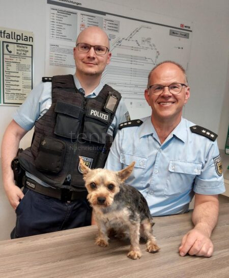 WEIDEN - 🐕 Kleiner Hund auf großer Tour! Bundespolizei rettet am Mittwoch (30.04.2025) herrenlosen Yorkshire Terrier am Bahnhof. Rocky findet sicher zu seinem Besitzer zurück! 🚨
