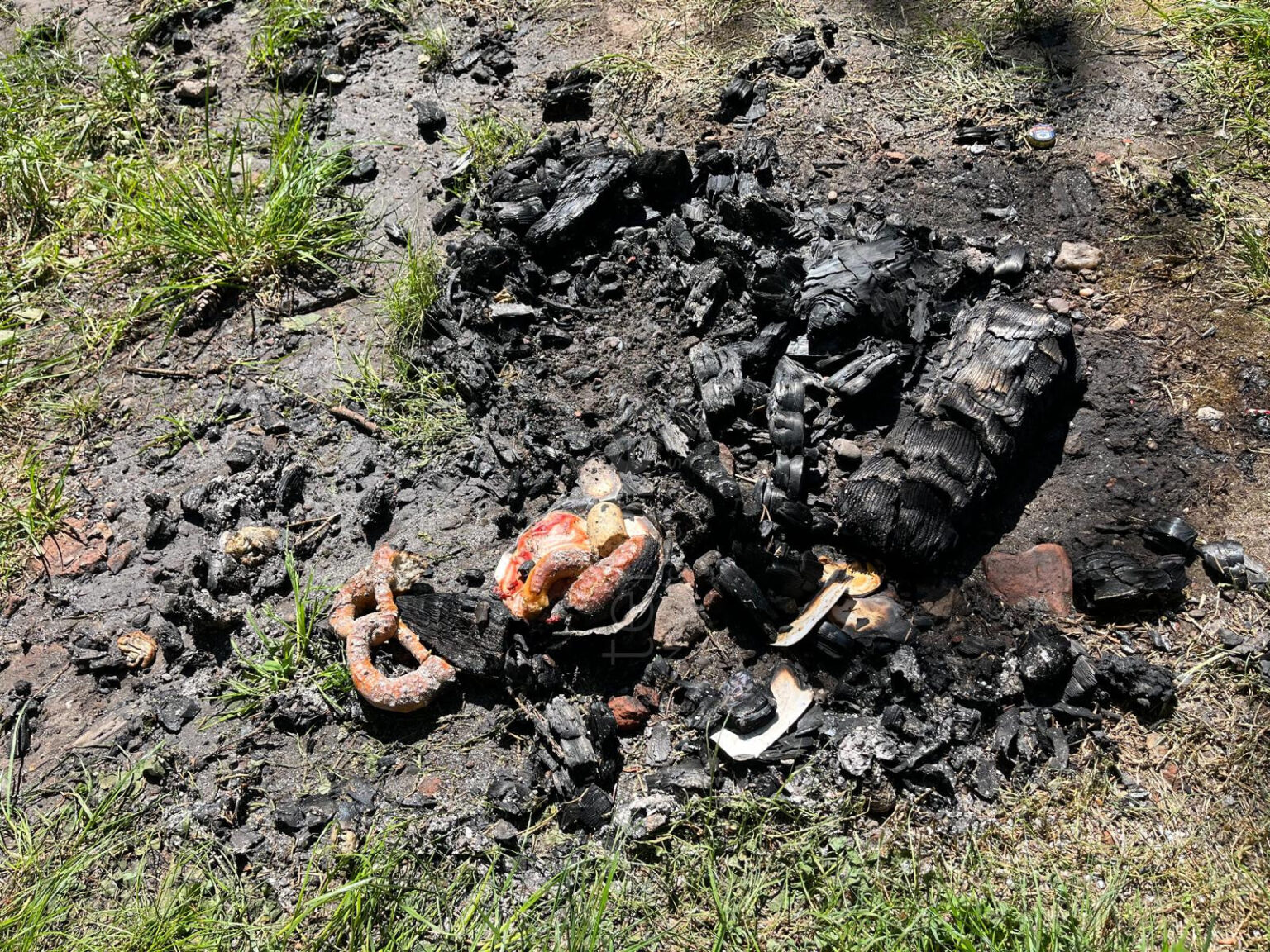 WAIDHOFEN - Glutnester im Wald bei Gröbern am Donnerstag (01.05.2025) schnell gelöscht – Feuerwehr verhindert Schlimmeres. 🔥🌲