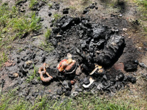 WAIDHOFEN - Glutnester im Wald bei Gröbern am Donnerstag (01.05.2025) schnell gelöscht – Feuerwehr verhindert Schlimmeres. 🔥🌲