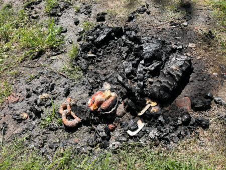 WAIDHOFEN - Glutnester im Wald bei Gröbern am Donnerstag (01.05.2025) schnell gelöscht – Feuerwehr verhindert Schlimmeres. 🔥🌲