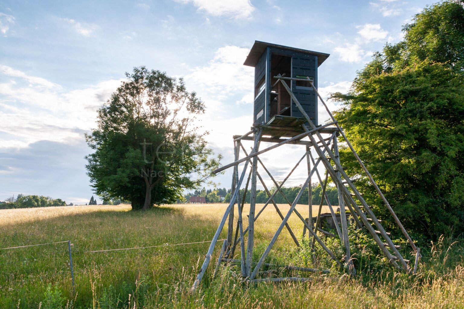 NÖRDLINGEN – Unbekannte werfen in derNacht auf Donnerstag (01.05.2025) einen Hochstand in Kleinerdlingen um. Polizei bittet um Hinweise. 🌙🦌