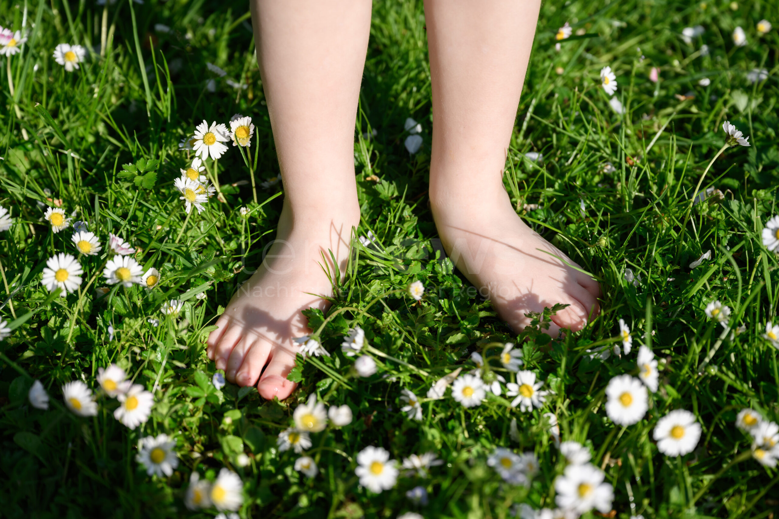 👣 🌱 Barfußlaufen im Frühling belebt Körper und Geist! Entdecken Sie die gesundheitlichen Vorteile, mögliche Risiken und praktische Tipps für ein sicheres Barfußerlebnis in der Natur.