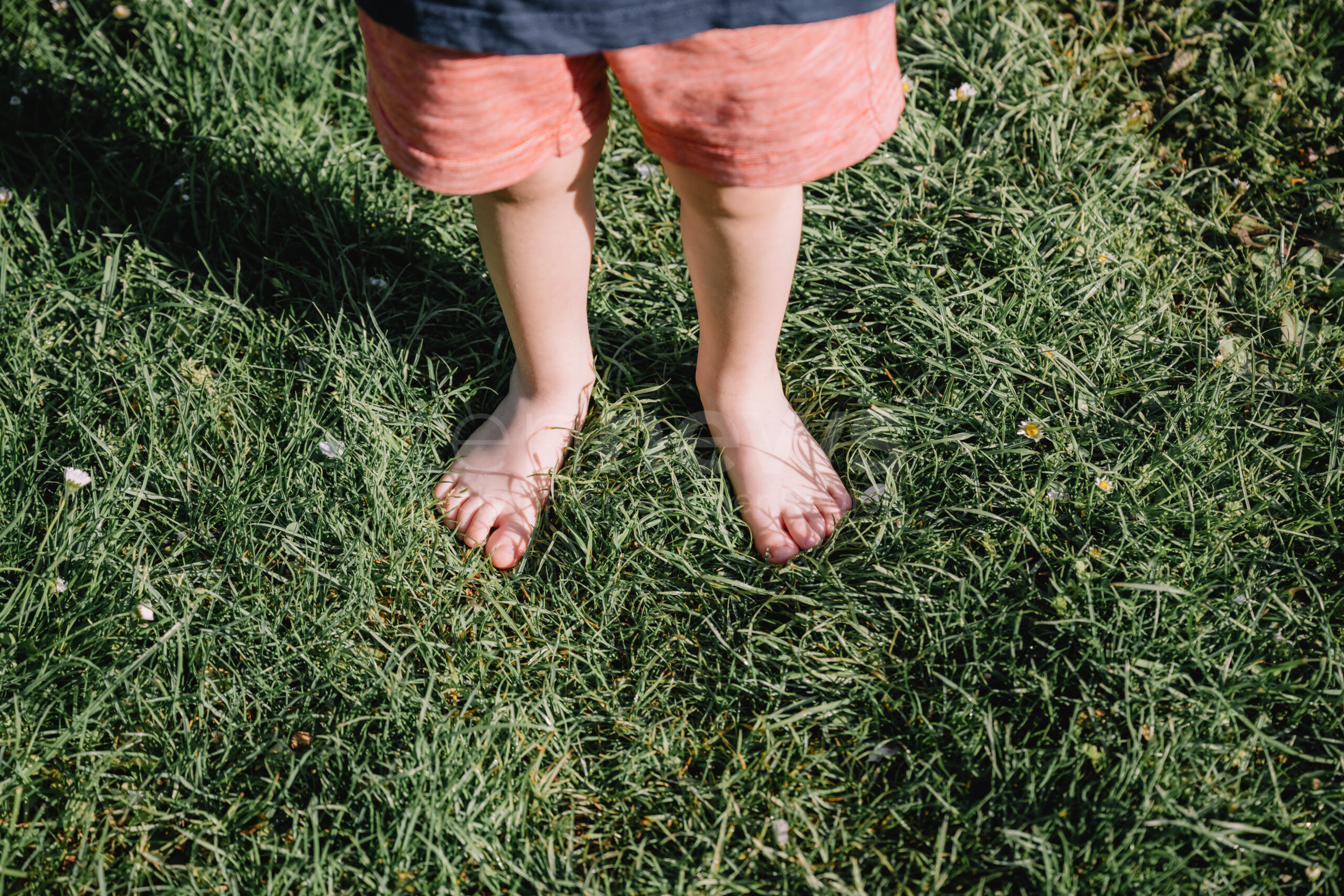 👣 🌱 Barfußlaufen im Frühling belebt Körper und Geist! Entdecken Sie die gesundheitlichen Vorteile, mögliche Risiken und praktische Tipps für ein sicheres Barfußerlebnis in der Natur.