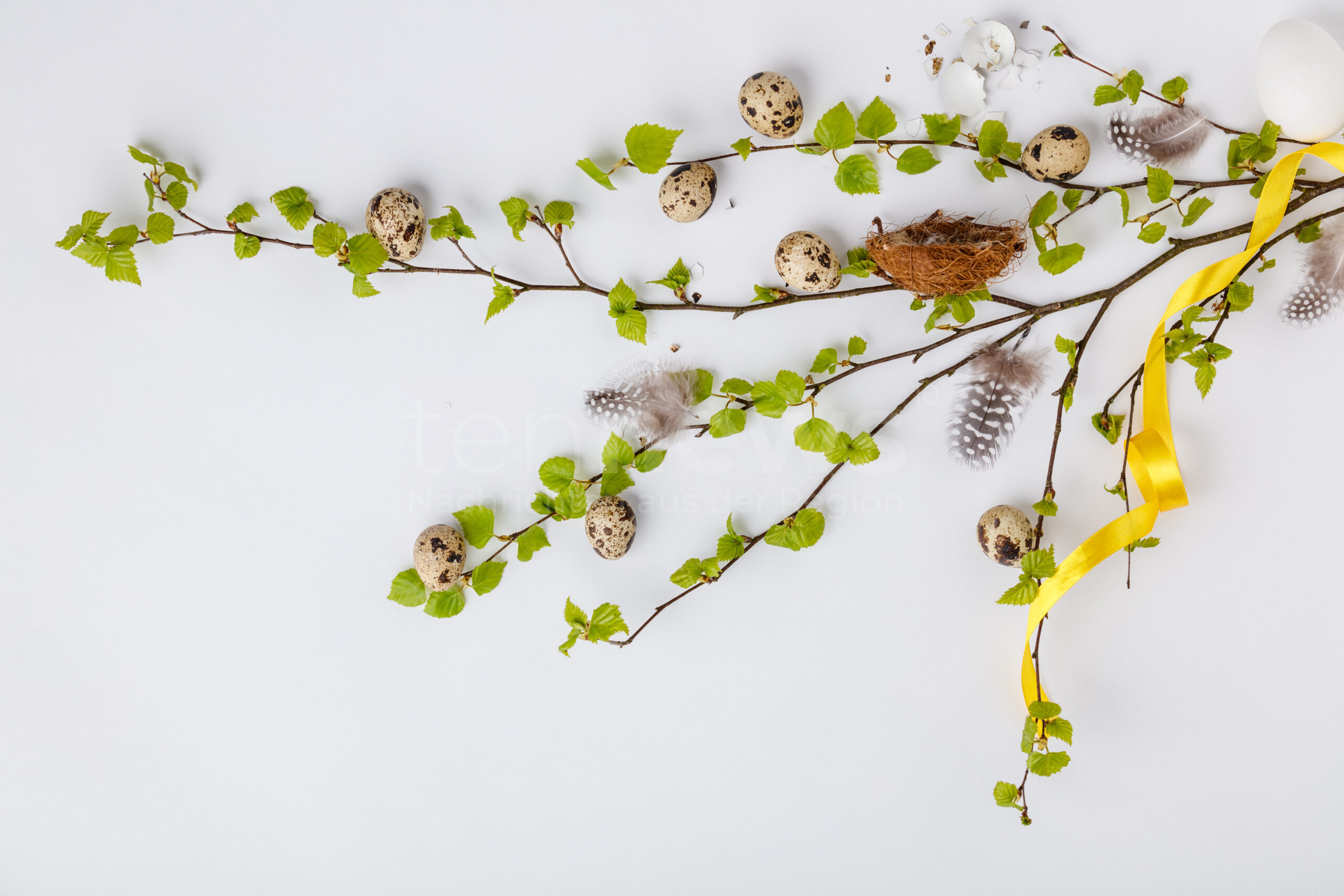 🌿 🌸 Naturmaterialien verwandeln Ihre Wohnung in ein Frühlingsparadies! Entdecken Sie kreative DIY-Ideen für nachhaltige Frühlingsdeko aus Zweigen, Moos und Blüten für Balkon und Zuhause.