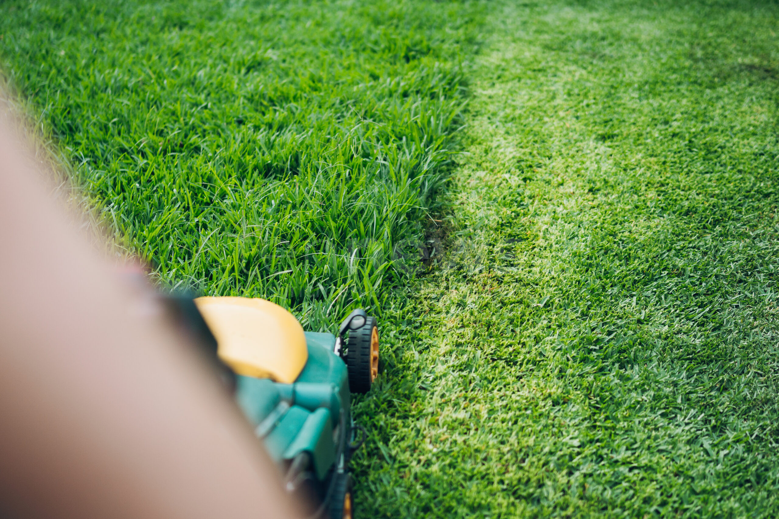 🌱 🌷 Gartenarbeiten im Mai richtig anpacken! Entdecken Sie die fünf wichtigsten Aufgaben, die jetzt erledigt sein müssen – vom Rasen mähen bis zum richtigen Zeitpunkt für die Gemüsepflanzung.