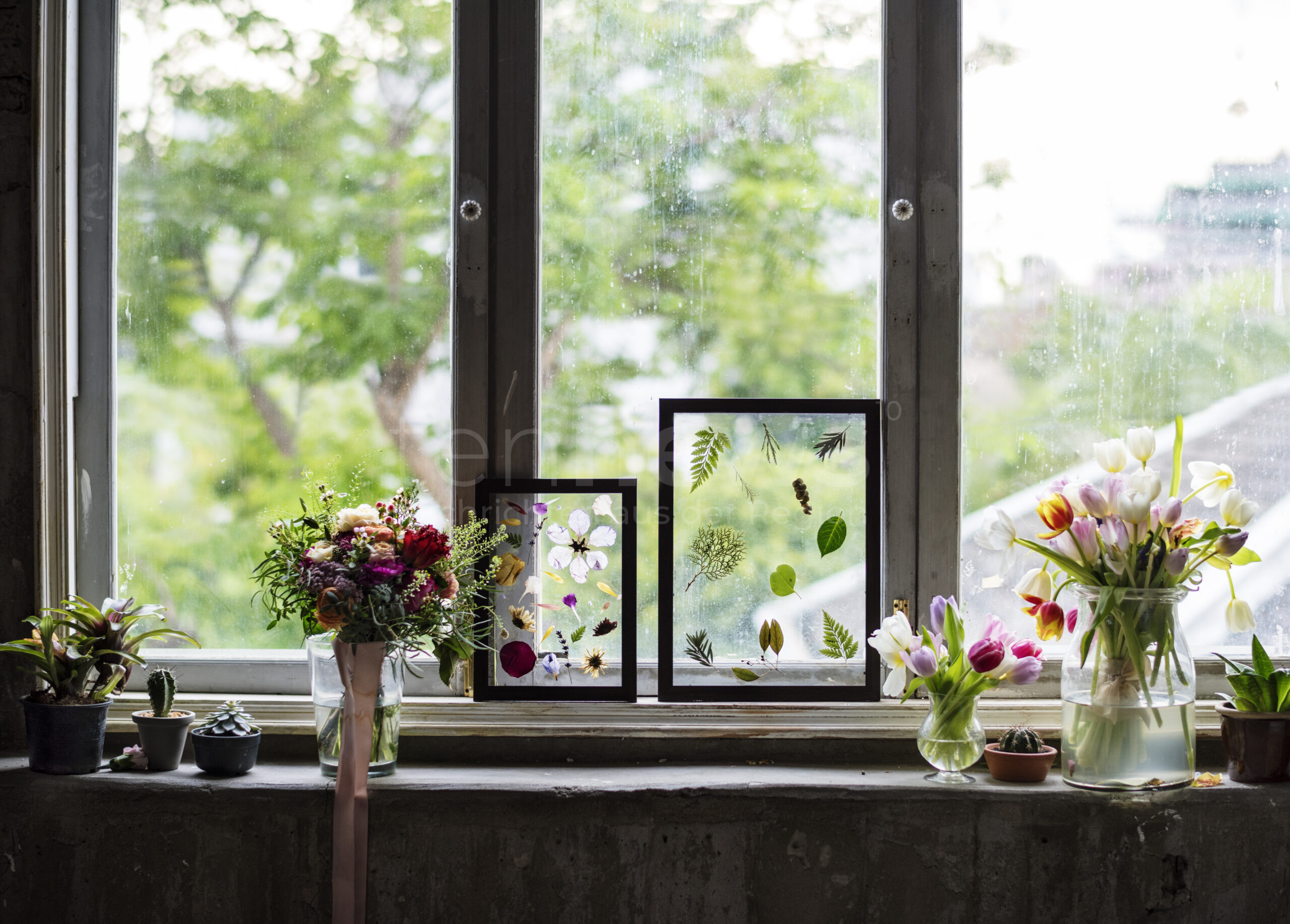 🌿 🌸 Naturmaterialien verwandeln Ihre Wohnung in ein Frühlingsparadies! Entdecken Sie kreative DIY-Ideen für nachhaltige Frühlingsdeko aus Zweigen, Moos und Blüten für Balkon und Zuhause.