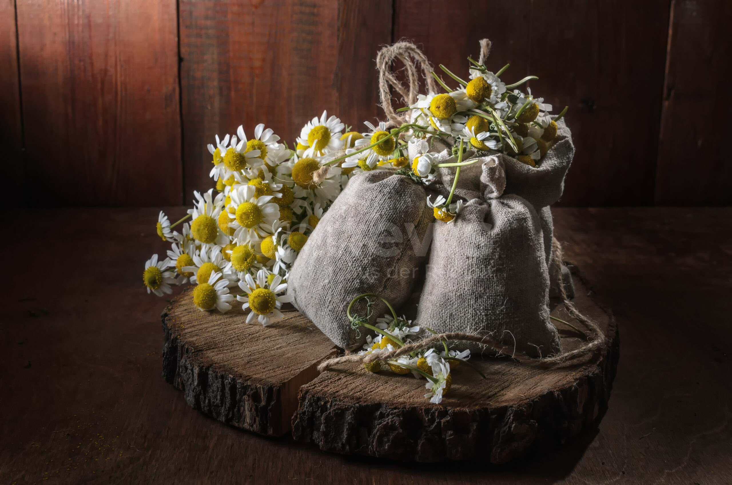 🌿 🌸 Naturmaterialien verwandeln Ihre Wohnung in ein Frühlingsparadies! Entdecken Sie kreative DIY-Ideen für nachhaltige Frühlingsdeko aus Zweigen, Moos und Blüten für Balkon und Zuhause.