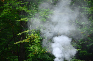 MOOSEN - 🔥 Brandstiftung im Wald am Donnerstag (14.08.2025)! Senior (75) verhindert Katastrophe und löscht Feuer selbst! 🌲