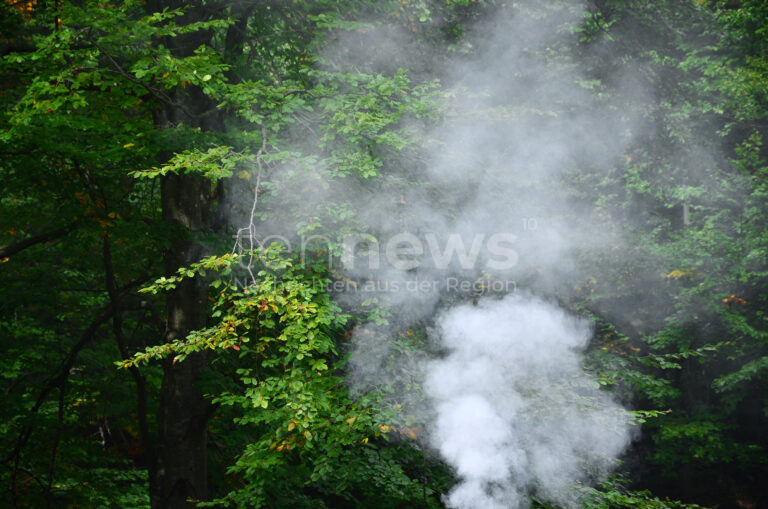 HOHENWART - 🔥 Möglicher Waldbrand am Sonntag (25.05.2025) bei Koppenbach verhindert – Ex-Feuerwehrmann entdeckt Rauchstelle! 🚒