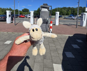 🐑 ❤️ Herzerwärmend! Martin nimmt verlorenes Plüsch-Schafi vom Rastplatz Dammer Berge auf. Ein Tagebuch von "Schafi" über seine Abenteuer. Wer vermisst ihn?