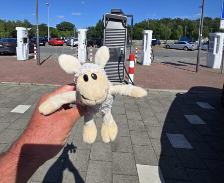 🐑 ❤️ Herzerwärmend! Martin nimmt verlorenes Plüsch-Schafi vom Rastplatz Dammer Berge auf. Ein Tagebuch von "Schafi" über seine Abenteuer. Wer vermisst ihn?