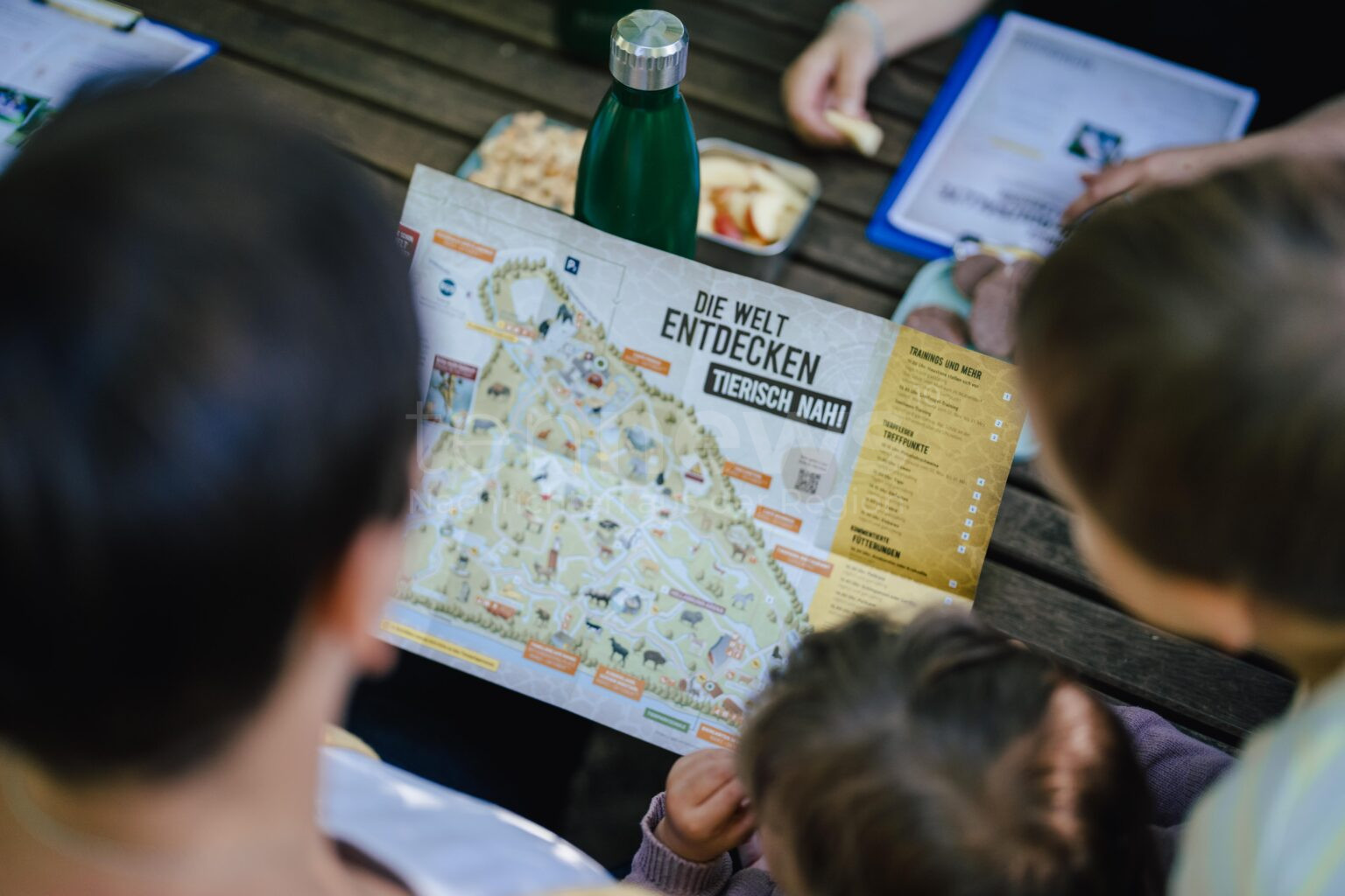 MÜNCHEN - 🦁 Perfektes Familienwochenende im Tierpark Hellabrunn! Sommerquiz mit tollen Preisen noch heute und morgen! 🎁