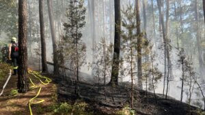 WENDELSTEIN - 🔥 Waldbrand am Dienstag (24.06.2025) bedroht Ortschaft! 8.000 Quadratmeter in Flammen - Evakuierung läuft! 🚁