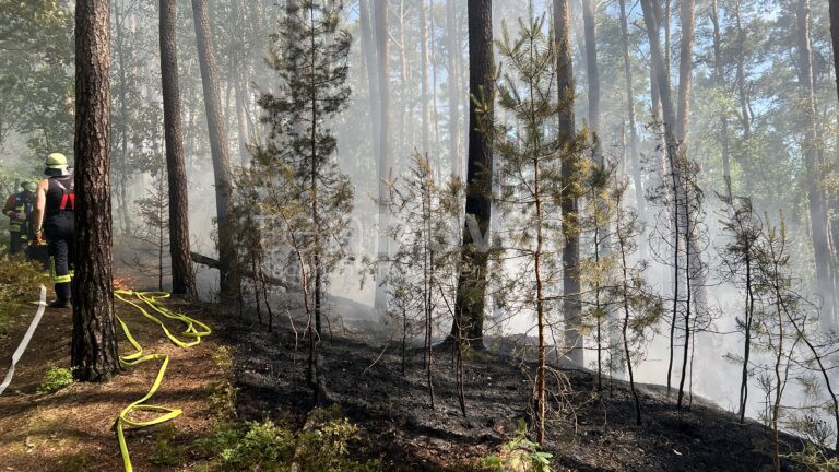 WENDELSTEIN - 🔥 Waldbrand am Dienstag (24.06.2025) bedroht Ortschaft! 8.000 Quadratmeter in Flammen - Evakuierung läuft! 🚁
