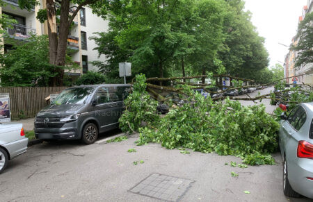 MÜNCHEN – 🌳 Abgebrochener Ast beschädigt am Sonntag (08.06.2025) mehrere Autos und einen Stromkasten. Polizei prüft Standsicherheit des Baumes. 🚨