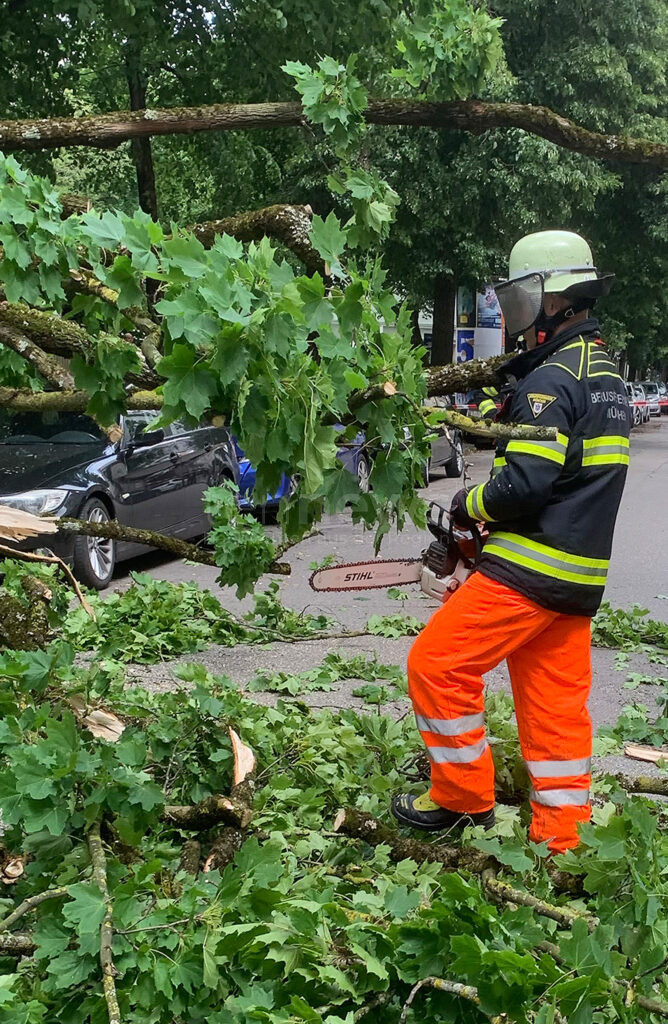 MÜNCHEN – 🌳 Abgebrochener Ast beschädigt am Sonntag (08.06.2025) mehrere Autos und einen Stromkasten. Polizei prüft Standsicherheit des Baumes. 🚨