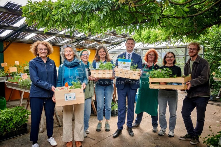 BAMBERG – 🌳 Gratis-Pflanzpakete für Baumscheibenpatinnen und -paten im Projekt „MitMachKlima“ – Anmeldung noch bis 23. Juni 2025 möglich. 🌼