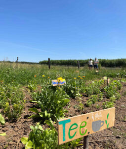 BAMBERG - 🌾 Weltacker Bamberg am Sonntag (22.06.2025) eröffnet! BUND Naturschutz zeigt auf 2.000 Quadratmetern, was ein Mensch zum Leben braucht! 🌱