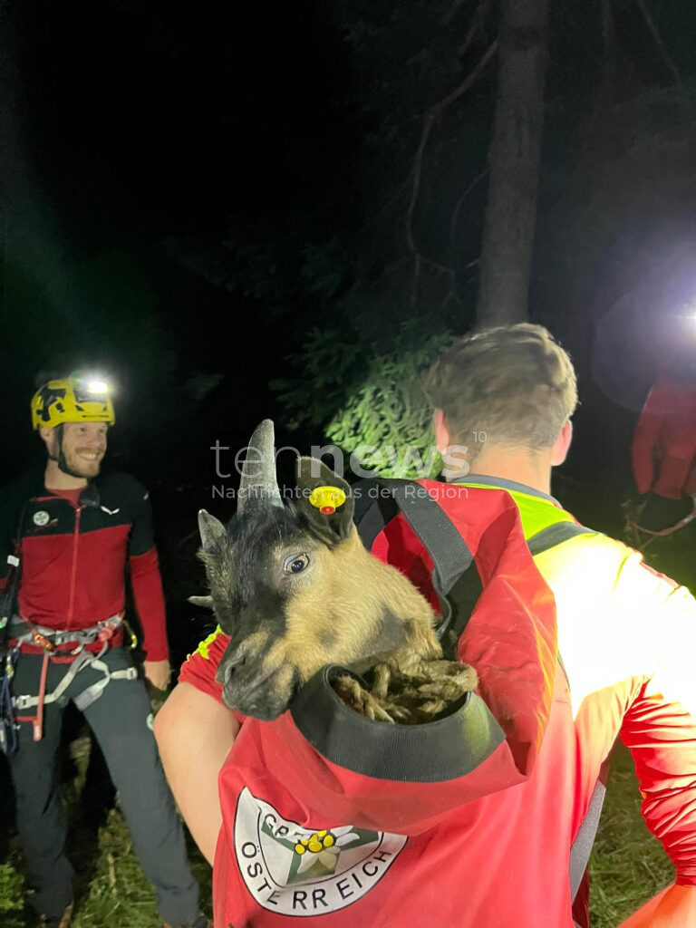 KRAMSACH – 🐐 Baby-Ziege auf Felsvorsprung gefangen – Bergretter befreien das Jungtier am Donnerstag (19.06.2025) in letzter Minute ⛰️
