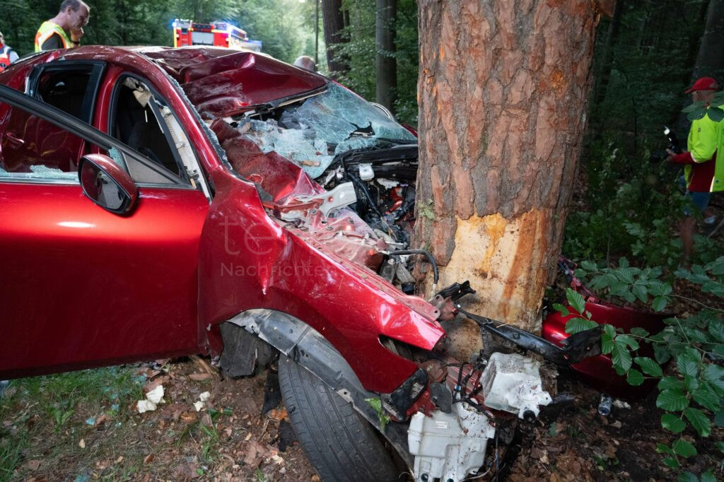 ST2050 BEI SCHROBENHAUSEN – 🚨 Tödlicher Verkehrsunfall am Mittwoch (18.06.2025): 29-Jähriger stirbt nach Frontalcrash mit Baum. 🌳
