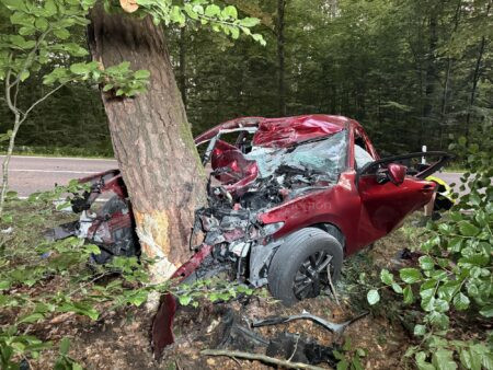 ST2050 BEI SCHROBENHAUSEN – 🚨 Tödlicher Verkehrsunfall am Mittwoch (18.06.2025): 29-Jähriger stirbt nach Frontalcrash mit Baum. 🌳