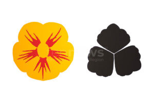 PFAFFENHOFEN AN DER ILM - 🎨 Zwei neue Ausstellungen im Kultursommer! "Blüten Körper" und Schülerwerke "Erinnern und Verändern" ab 26./27.06.2025!
