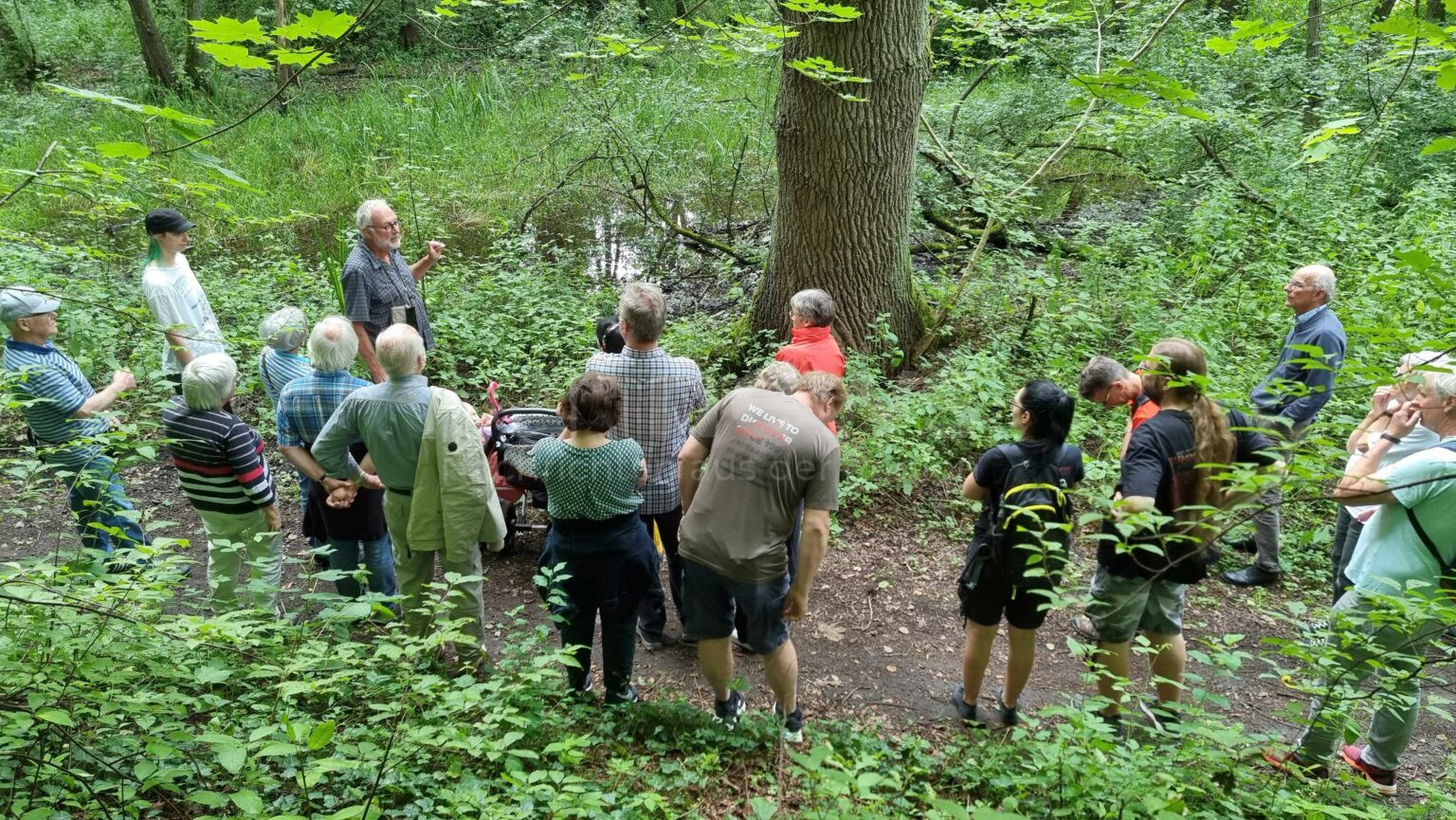 SCHWABACH - 🌿 Führungen am Wochenende (28. und 29.06.2025): Sandstein, Dinosaurier-Spuren, Gold und UNESCO-Natur hautnah erleben – spannend für Groß & Klein 🦖