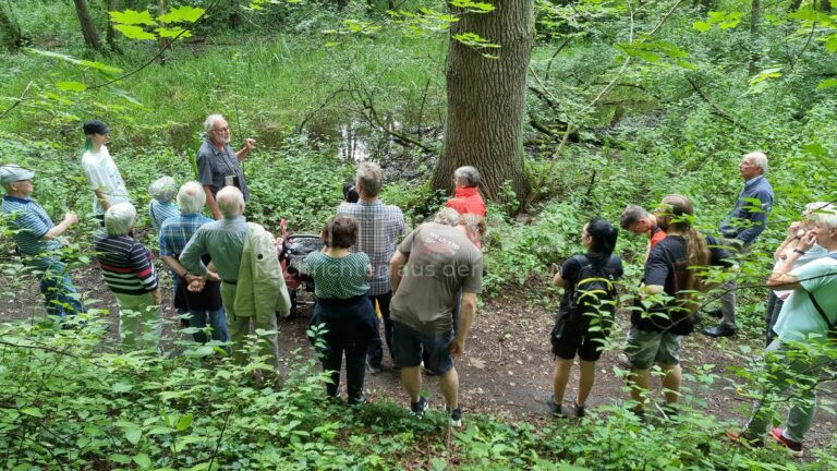 SCHWABACH - 🌿 Führungen am Wochenende (28. und 29.06.2025): Sandstein, Dinosaurier-Spuren, Gold und UNESCO-Natur hautnah erleben – spannend für Groß & Klein 🦖