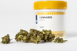 BERLIN – 💊 Apothekerkammer warnt vor Online-Rezepten für Cannabis ohne Arztkontakt (10.06.2025) – Resolution gegen Trend beschlossen. 🪴