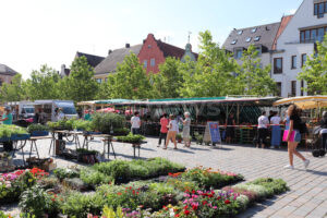 PFAFFENHOFEN AN DER ILM - 🛒 Wochenmarkt am Samstag (28.06.2025) wegen Kunstnacht auf dem Volksfestplatz – Innenstadt-Express fährt kostenlos! 🚌