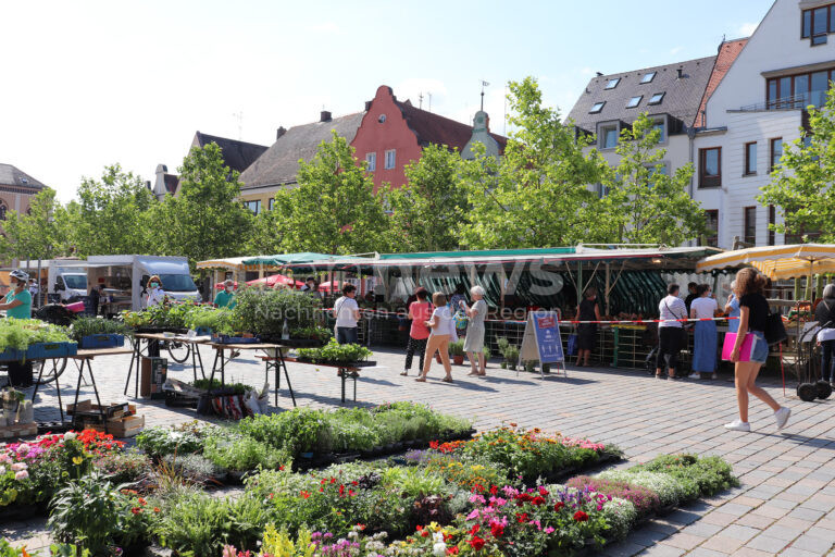 PFAFFENHOFEN AN DER ILM - 🛒 Wochenmarkt am Samstag (28.06.2025) wegen Kunstnacht auf dem Volksfestplatz – Innenstadt-Express fährt kostenlos! 🚌